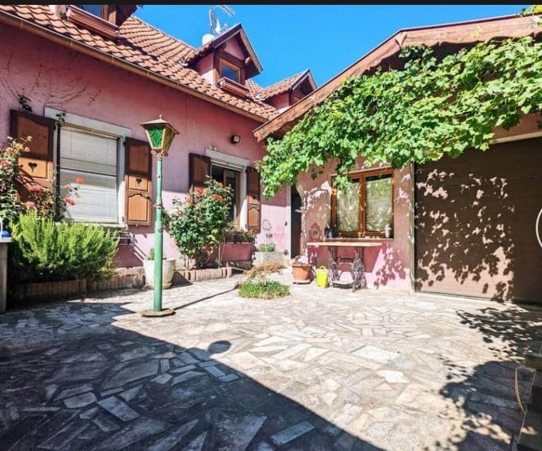 Petit Paradis Croneuva Straßburg