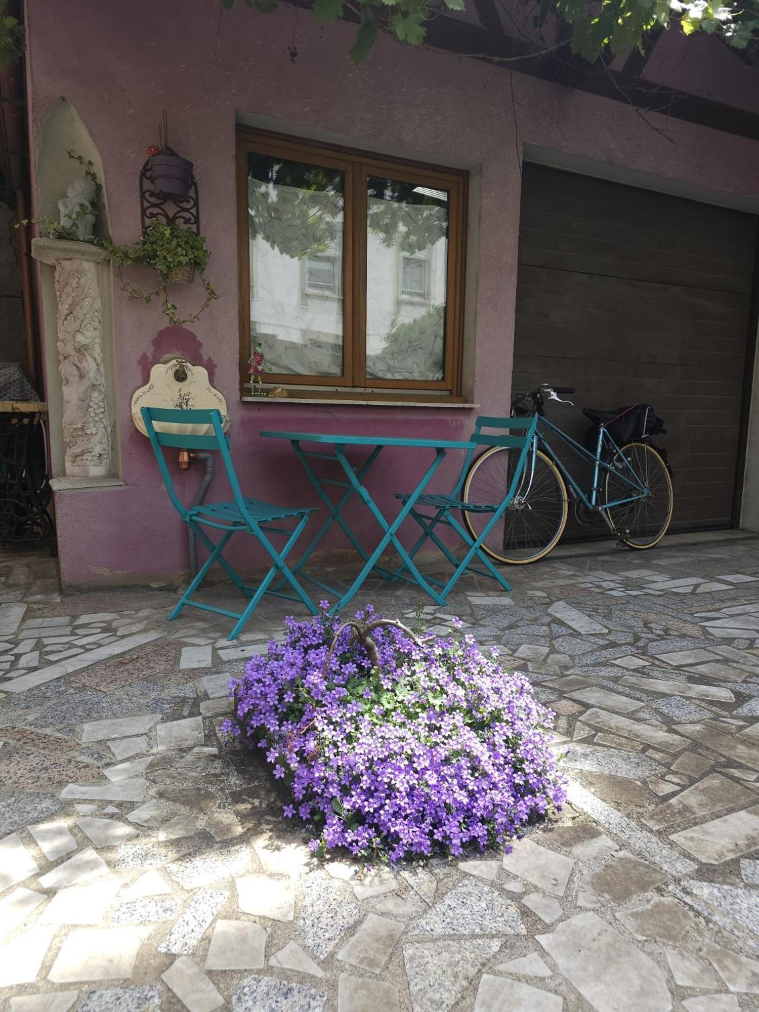 Appartement Petit Paradis Croneuva